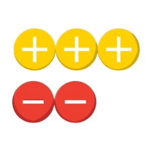 Integer Chips